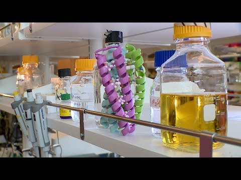 Controlling cell functions with a designed switch