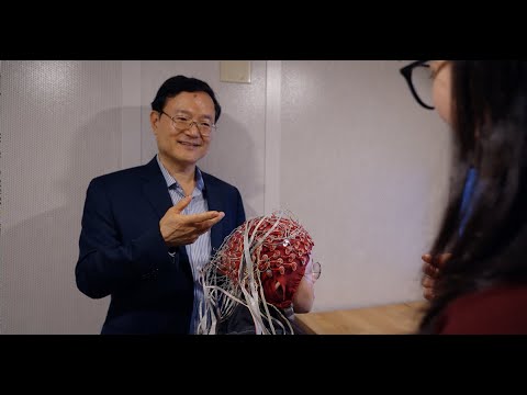 Bin He: EEG-Based, Non-Invasive Brain-Computer Interface Advancement