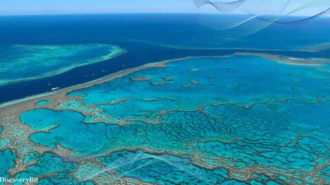 great barrier reef, coral barrier, the great reef, barrier reef, great barrier reef australia, Great Barrier Reef, Pollution, Ecosystem, Australia