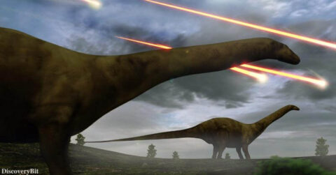 Kt extinction, Dinosaur extinction, Cretaceous extinction, Dinosaurs, Asteroids, K-Pg boundary, Extinction