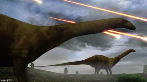 Kt extinction, Dinosaur extinction, Cretaceous extinction, Dinosaurs, Asteroids, K-Pg boundary, Extinction