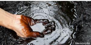 Hydrocarbon, dinosaur extinction