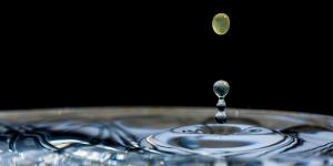 conserve water, water and conservation, watershed conservation, save water