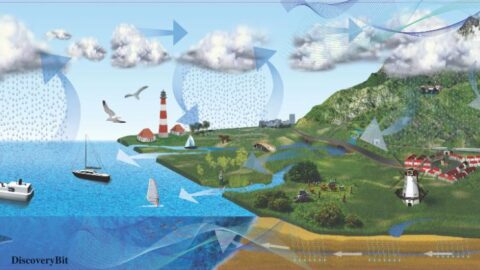 Nature, Natural Resource, Freshwater, Water, Water Conservation, Lakes, Rivers, Groundwater, Surfacewater, conserve water, water and conservation, watershed conservation, save water