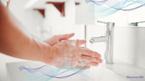 Dirt, Germ, Disease, Health
