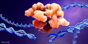 medical breakthroughs, breakthrough in medical science, latest medical discoveries, latest medical breakthroughs
