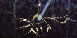 medical breakthroughs, breakthrough in medical science, latest medical discoveries, latest medical breakthroughs