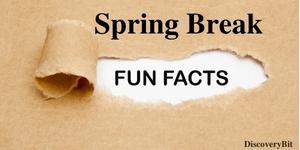 spring break, when is spring break, best spring break destinations, Great spring break destinations, What to and not to pack for spring break, How to maximize your spring break on a budget, How to stay safe during spring break, What are Some important facts about spring break