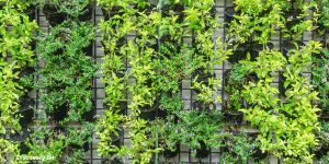 new innovations of the 21st century; Best inventions of the 21st century; Most innovative technologies of the 21st century; Futuristic technology inventions of the 21st century; Greatest inventions of the 21st century; Vertical Farming 