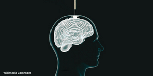 Latest innovations; New innovations in technology; Future innovations; Emerging innovations; Innovative products; Best innovations; Disruptive innovations; Game-changing innovations; Brain Implants 