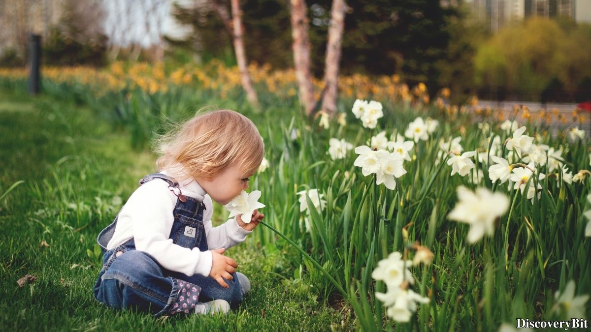 Interesting fun fact about the human nose’s scent detection
