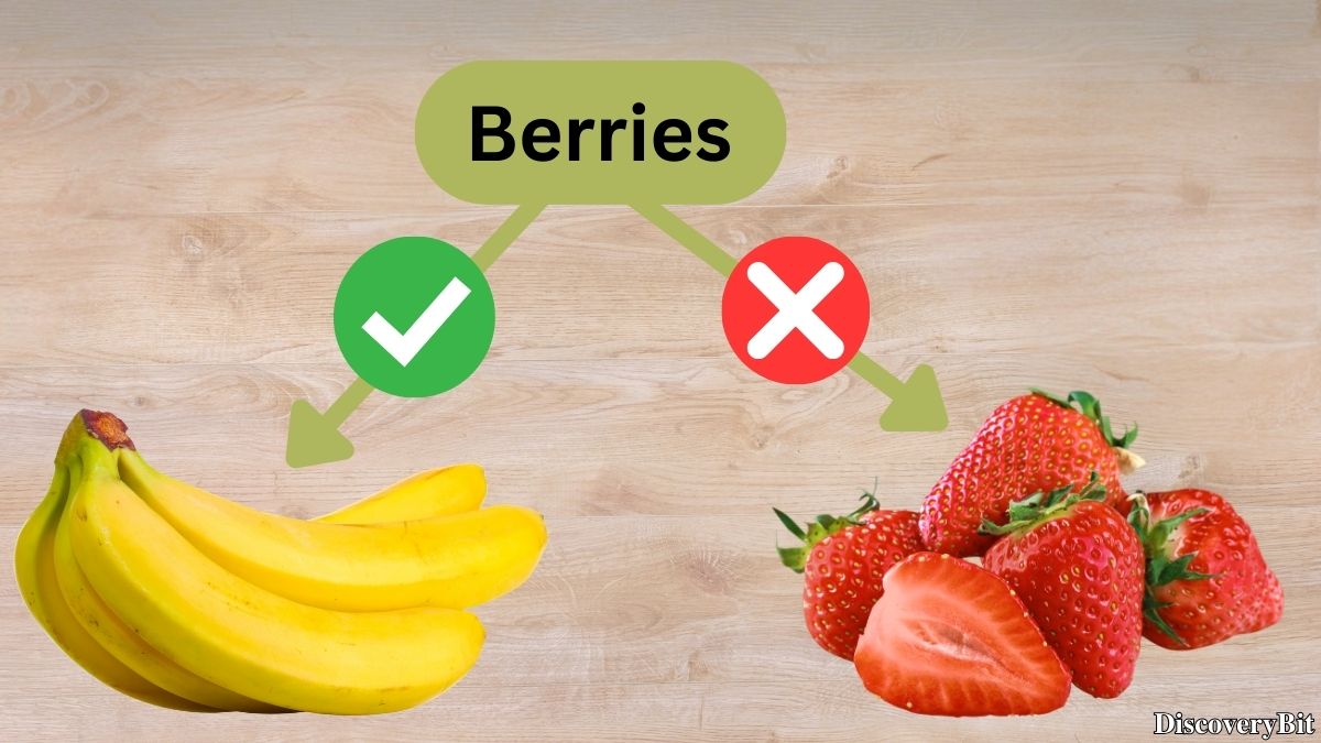 Trivia fact that flips fruit logic about bananas and strawberries