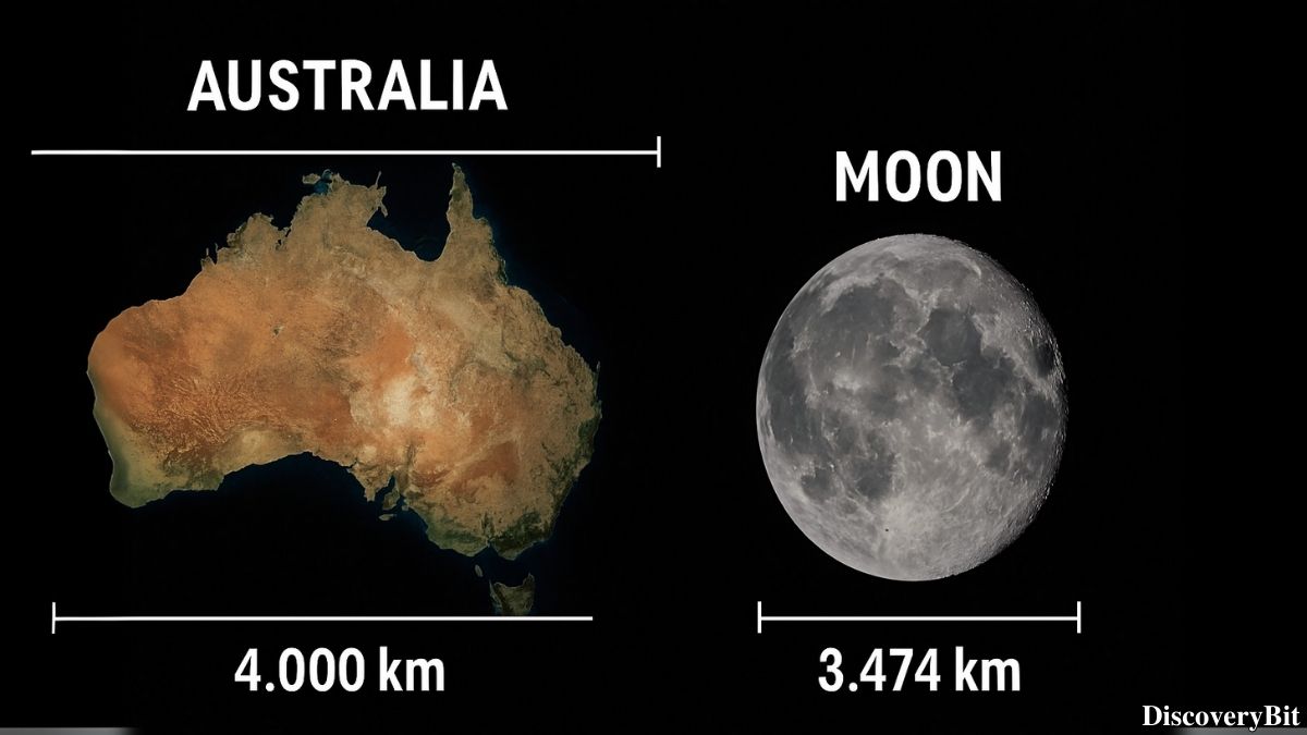 Random Fun Facts You’ll Want To Share Immediately Mind-bending geography fact comparing Australia and the moon