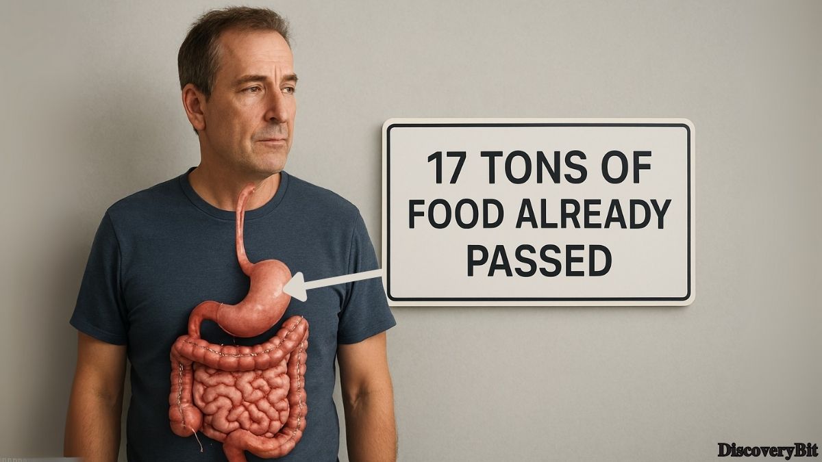Random Fun Facts You’ll Want To Share Immediately Interesting fun fact about food consumption and digestive health