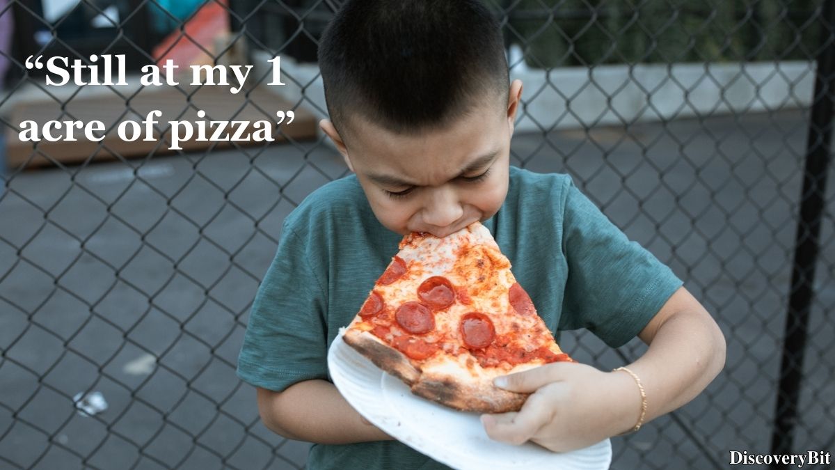Random Fun Facts You’ll Want To Share Immediately Interesting fun fact about lifetime pizza consumption