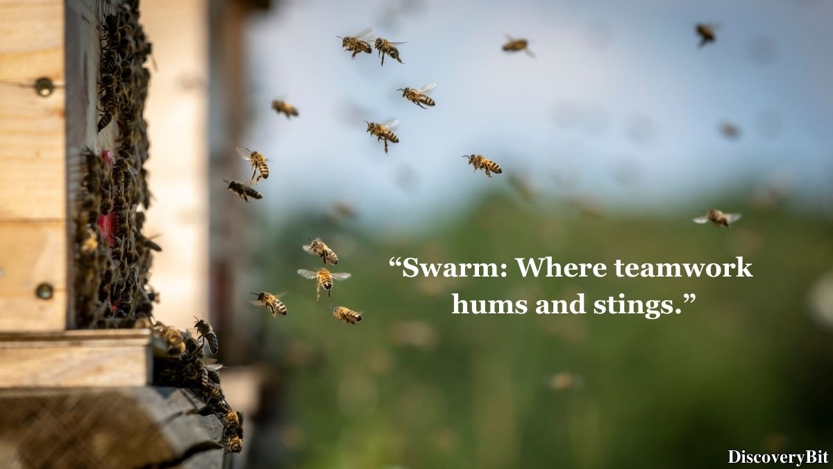 Random Fun Facts You’ll Want To Share Immediately Random trivia fact about bee group names