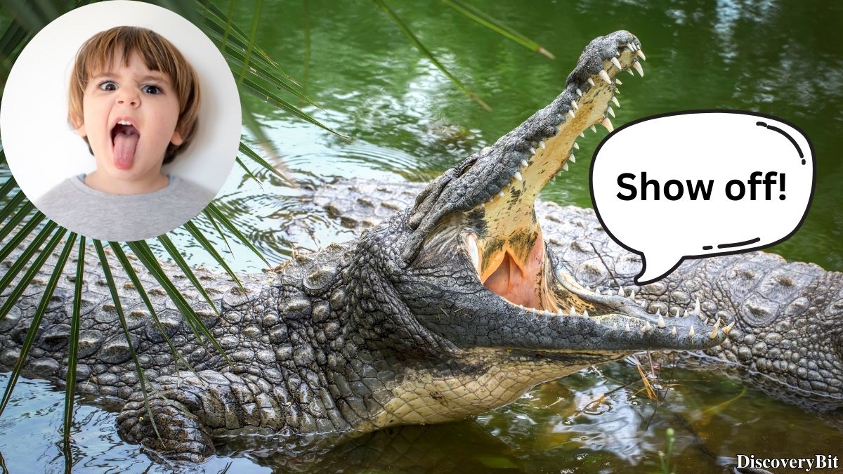 Random Fun Facts You’ll Want To Share Immediately Weird random fun fact from reptile anatomy