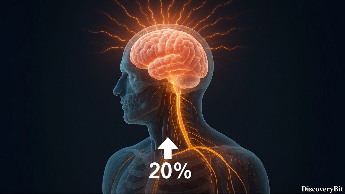 Random Fun Facts You’ll Want To Share Immediately Cool fact about brain energy consumption