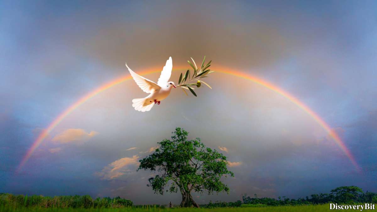 Rainbow color as harmony and peace