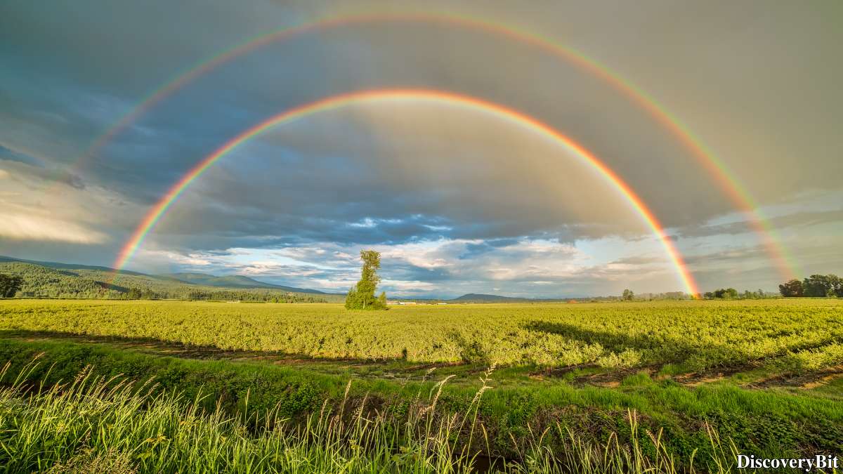 Rainbow color prompt Image