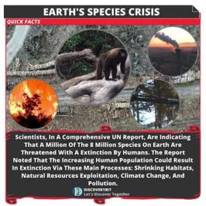 Earth's Species Crisis: A Million At Risk Of Extinction