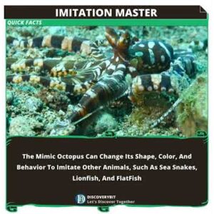 The Mimic Octopus--Nature's Shapeshifting Genius