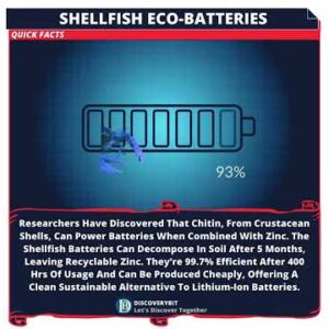 Shellfish Batteries: Revolutionizing Energy Storage