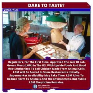 Lab-Grown: Taste The Future?
