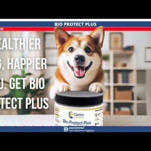 Is Your Dog At Risk? Revitalize Their Health With Bio Protect Plus (Vet-Approved)
