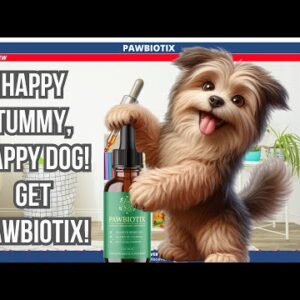 Could This Be The Answer To Your Dog's Gut Problems?