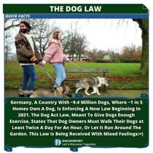 Paws And Policy: Germany's Dog Revolution