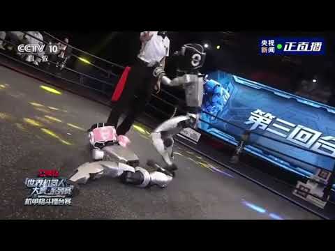 The world’s first humanoid robot boxing match