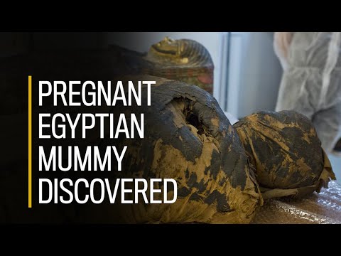 First well-preserved pregnant Egyptian mummy discovered