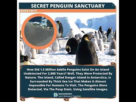 Penguins: The Mystery Of Danger Island