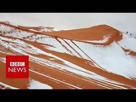 Snow falls in the Sahara desert - BBC News