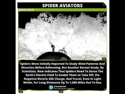 Spider Aviators: Unraveling Their Electrifying Flight