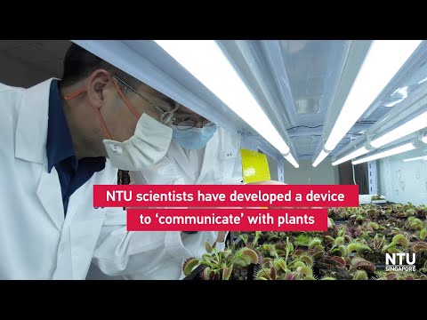 NTU Singapore scientists develop device to &#039;communicate&#039; with plants