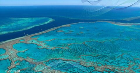 great barrier reef, coral barrier, the great reef, barrier reef, great barrier reef australia, Great Barrier Reef, Pollution, Ecosystem, Australia