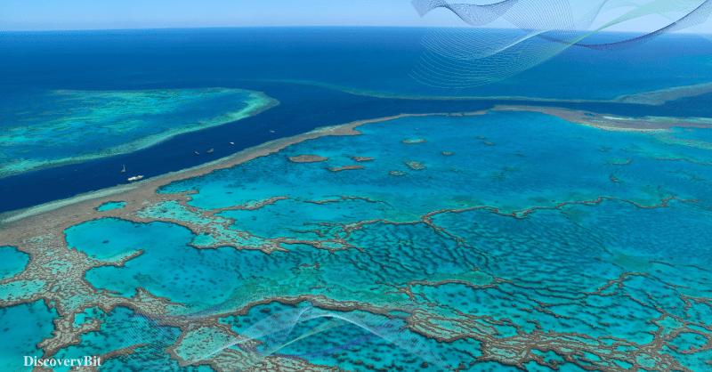 great barrier reef, coral barrier, the great reef, barrier reef, great barrier reef australia, Great Barrier Reef, Pollution, Ecosystem, Australia