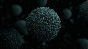 Vaccinia virus, Adenoviruses, Maraba virus, Reovirus, Measles, Herpes simplex, Murine norovirus, Enterovirus, Zika virus, HIV virus, virus, Health, medical uses, science