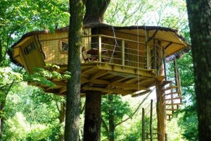 LES CABANES DU BOIS LANDRY, France, Hotel, Tree House, Travel