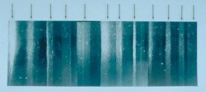 Nature, Environment, Climate, Greenhouse Gas, Greenland Ice Core, Al Gore, Carbon dioxide, Hothouse earth, Feedback mechanisms, GISP2 ice core layers