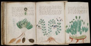 Voynich Manuscript, Archaeology