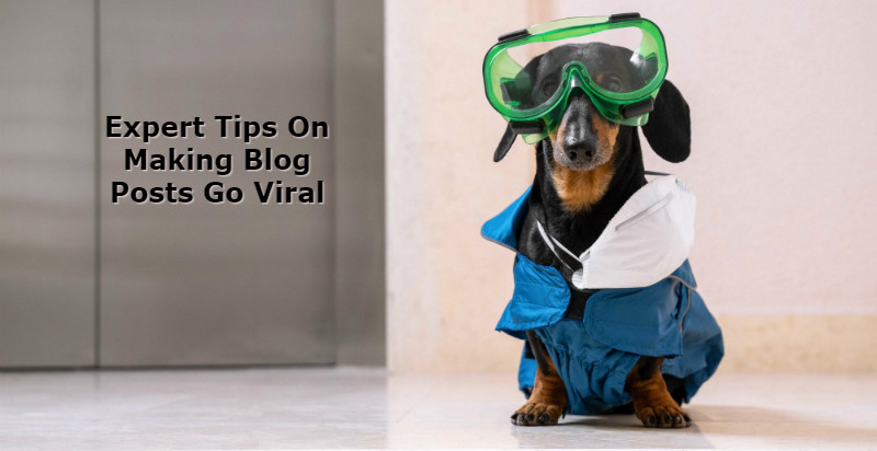 how to go viral, viral post, blog post, go viral, going viral