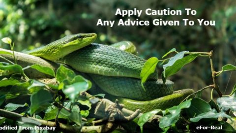 advice giving advice, bad advice, giving bad advice,