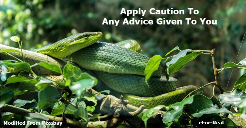 advice giving advice, bad advice, giving bad advice,