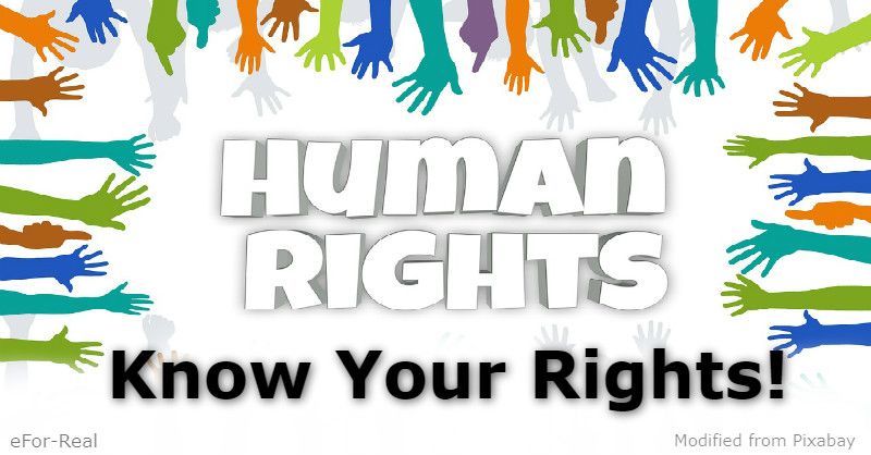 Human rights, Human rights law, know your rights, Human rights violations, The law