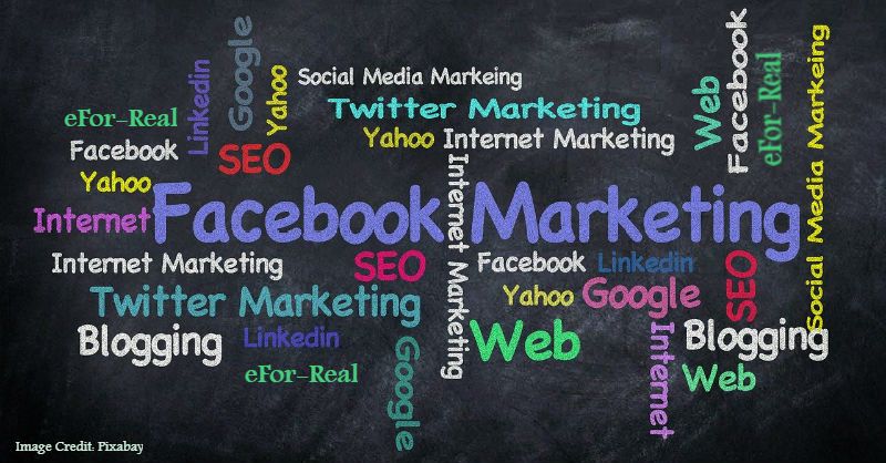 Social media marketing, SEO techniques, Search engine optimization, Website traffic