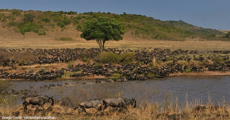 Kenya tourist attractions, Tourist attractions in Kenya, Tourist attractions near me in Kenya, Africa tourist attractions, Tourist attractions in Africa, Tourist attractions near me in Africa