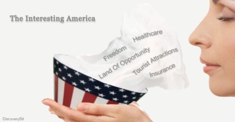 Tourist Attractions, Insurance, Heath care, United States Of America, USA, America
